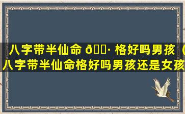 八字带半仙命 🕷 格好吗男孩（八字带半仙命格好吗男孩还是女孩）